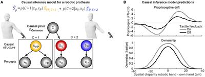 Measuring, modeling and fostering embodiment of robotic prosthesis